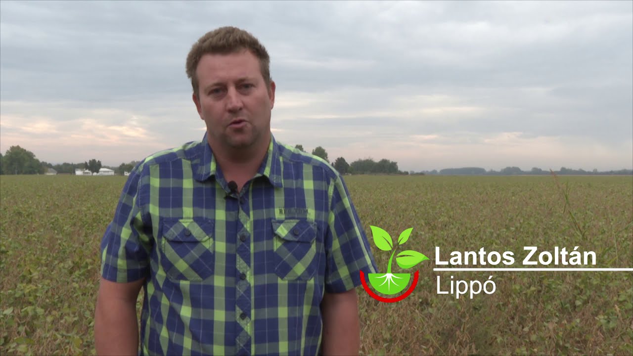 Amalgerol<sup>®</sup> Protect Pack – Bacillus subtilis