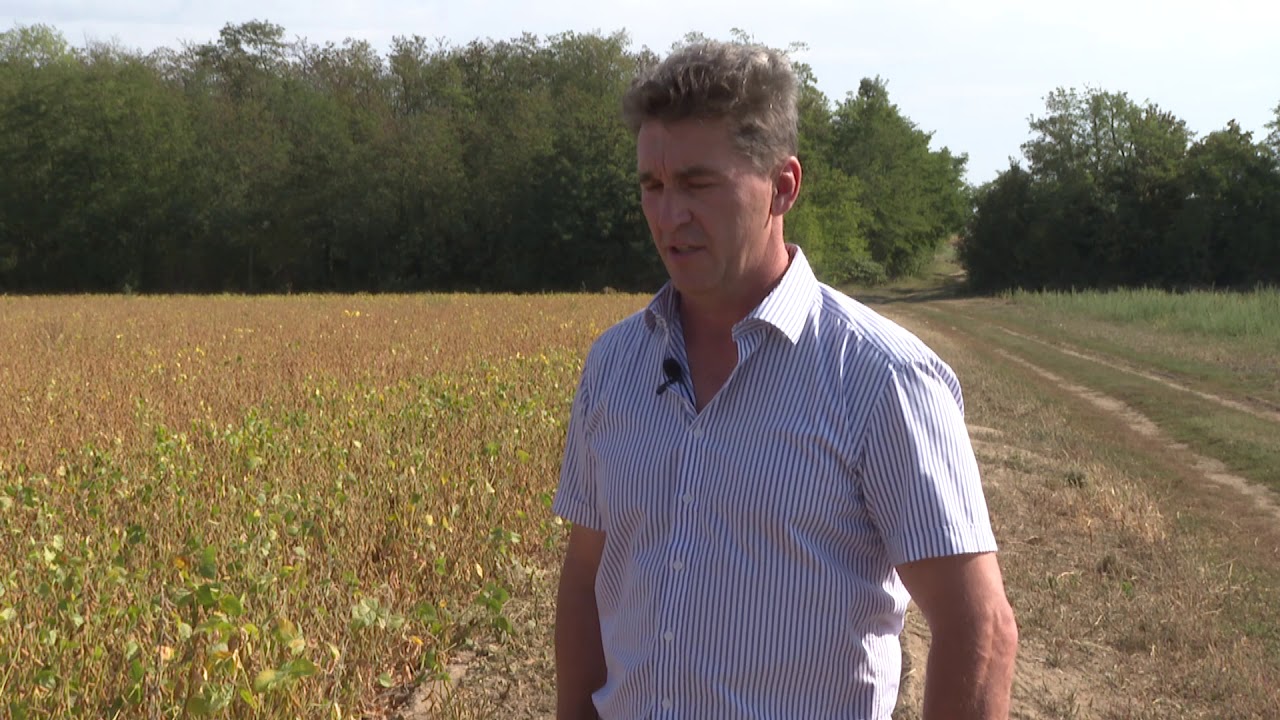 Amalgerol<sup>®</sup> Protect Pack – Bacillus subtilis