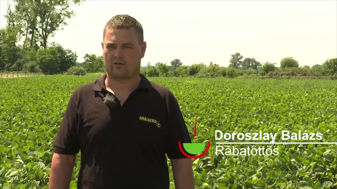 Amalgerol Starter szójában