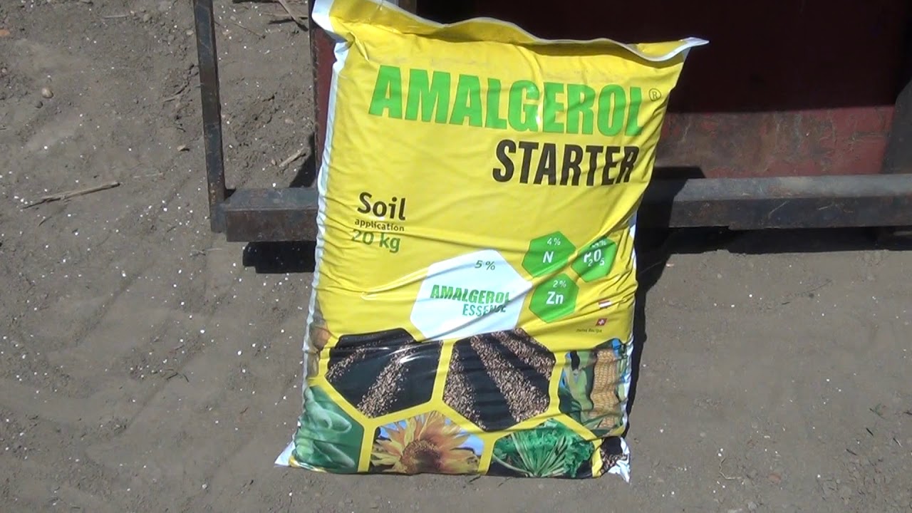 Amalgerol<sup>®</sup> Starter kukoricában
