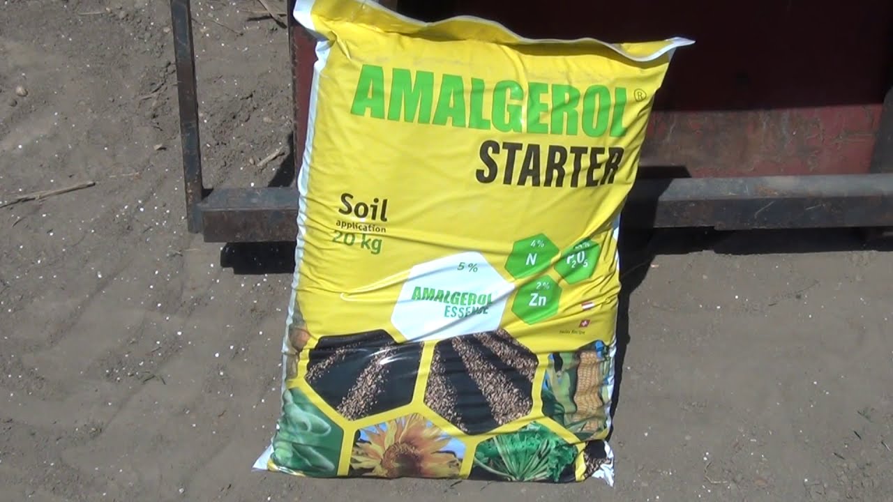 Amalgerol<sup>®</sup> Starter kukoricában
