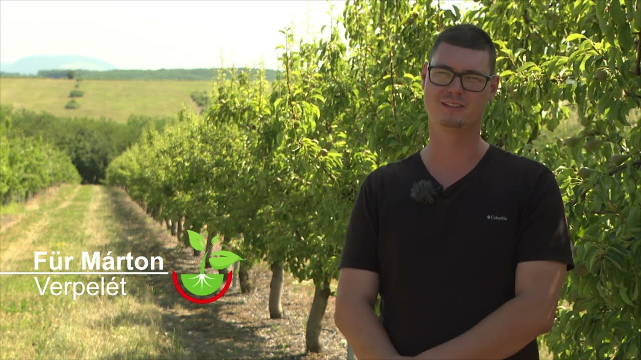 Surround WP körtében körtelevél-bolha ellen