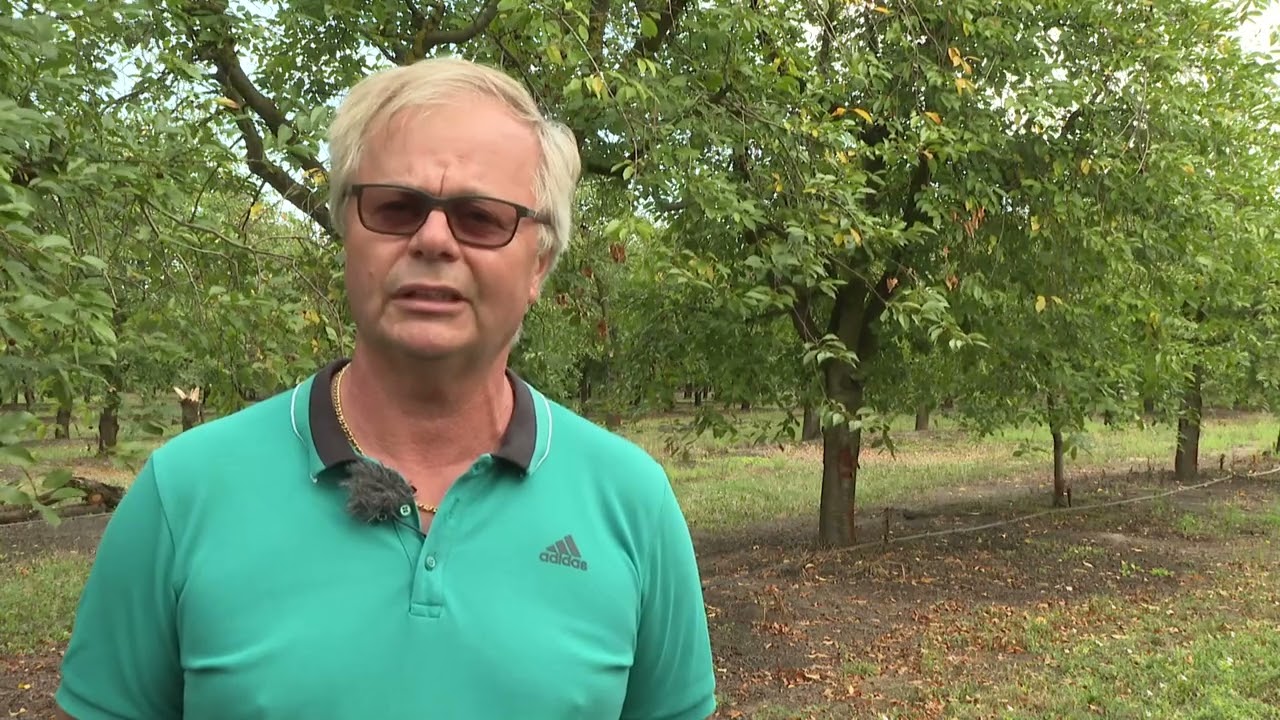 Vegesol<sup>®</sup> R meggyben