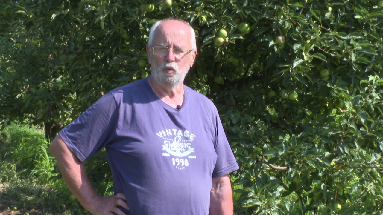 Vegesol<sup>®</sup> R vértetű és levéltetű gyérítésére bio almában