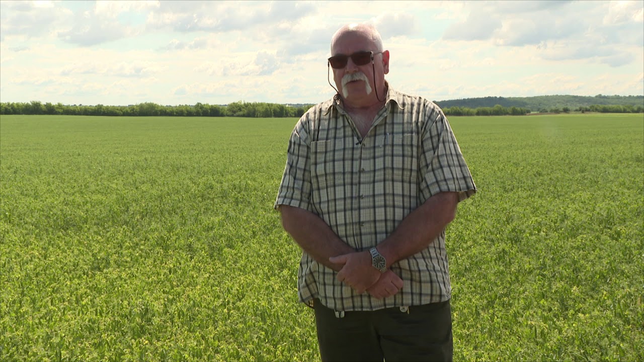 Amalgerol a növényi stressz ellen