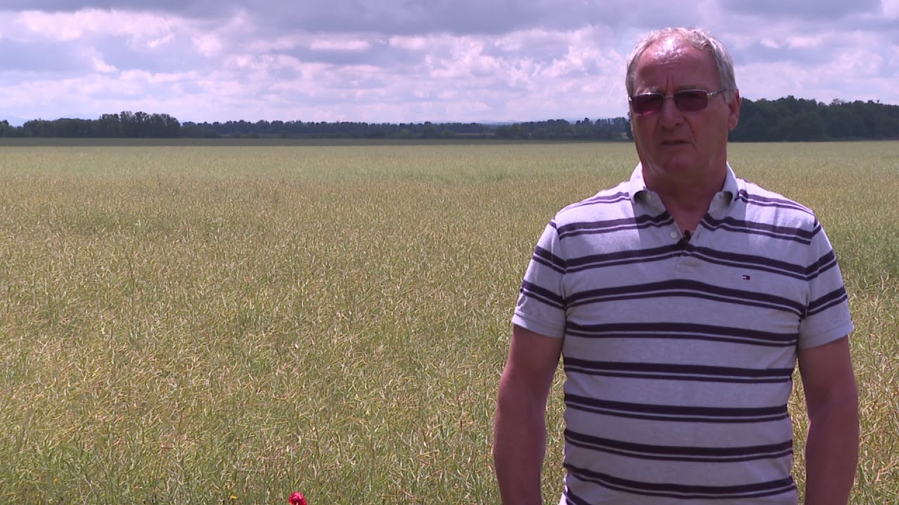 Amalgerol alkalmazása gyomirtó stressz esetén.