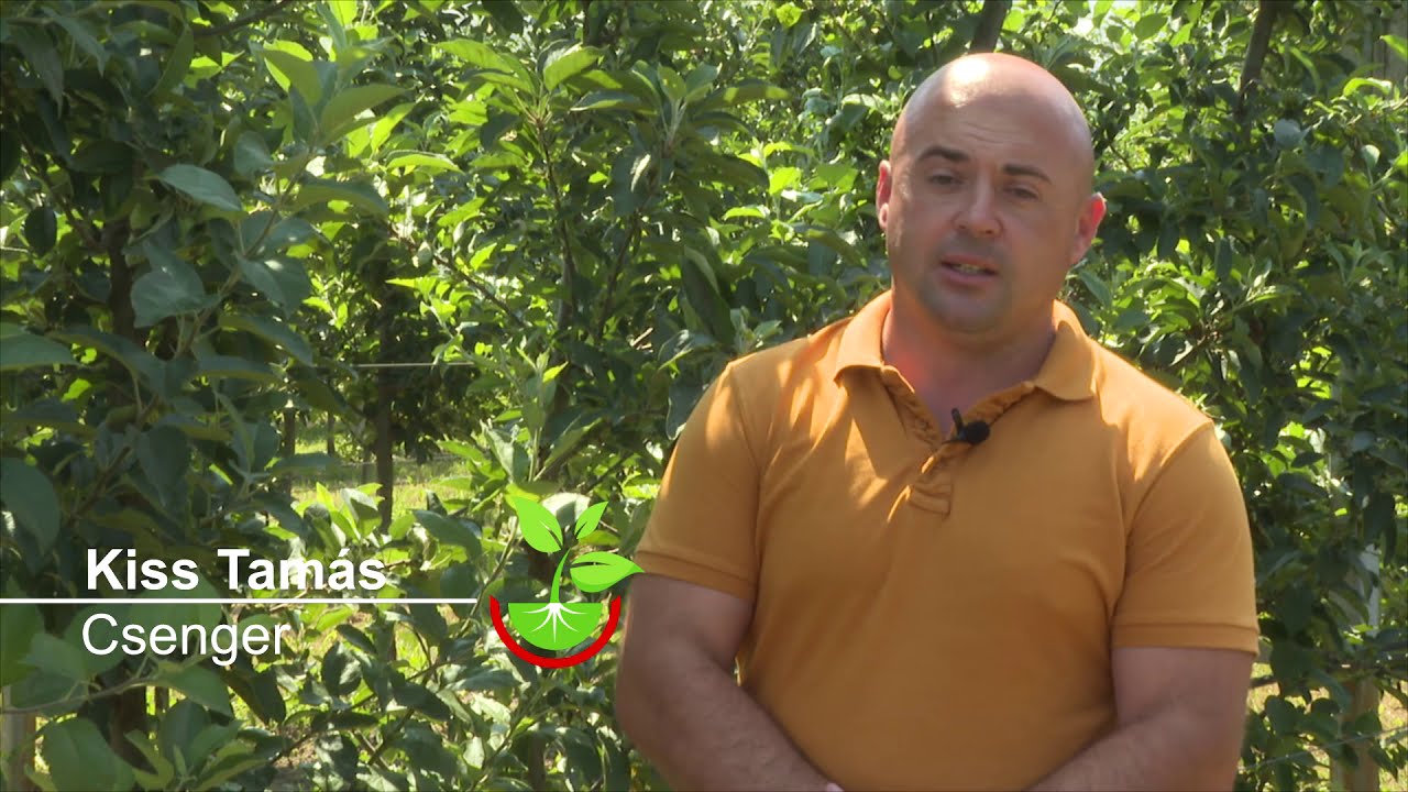  Amalgerol Essence és Vegesol R alkalmazása bio almában.