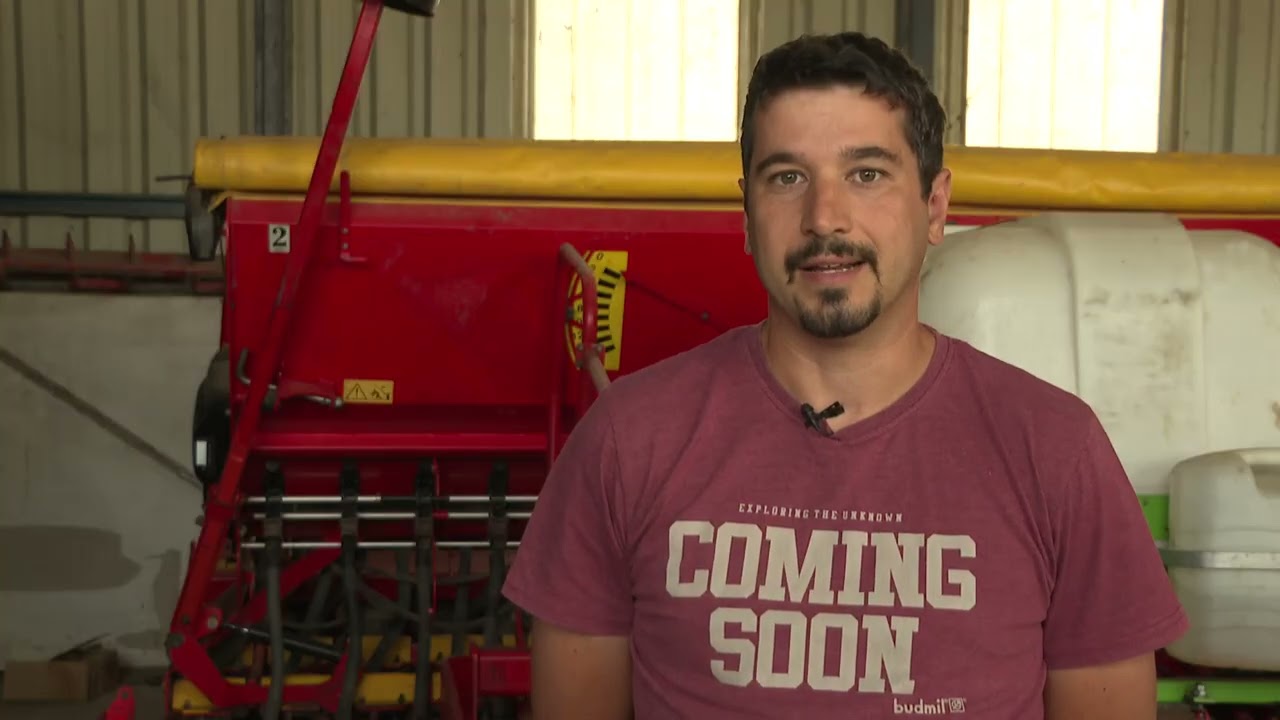  Amalgerol Protect Pack alkalmazása kukoricában.