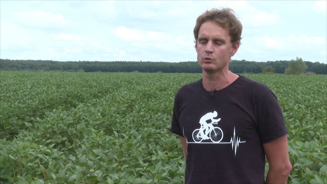 Rizoliq Top S alkalmazása szójában.