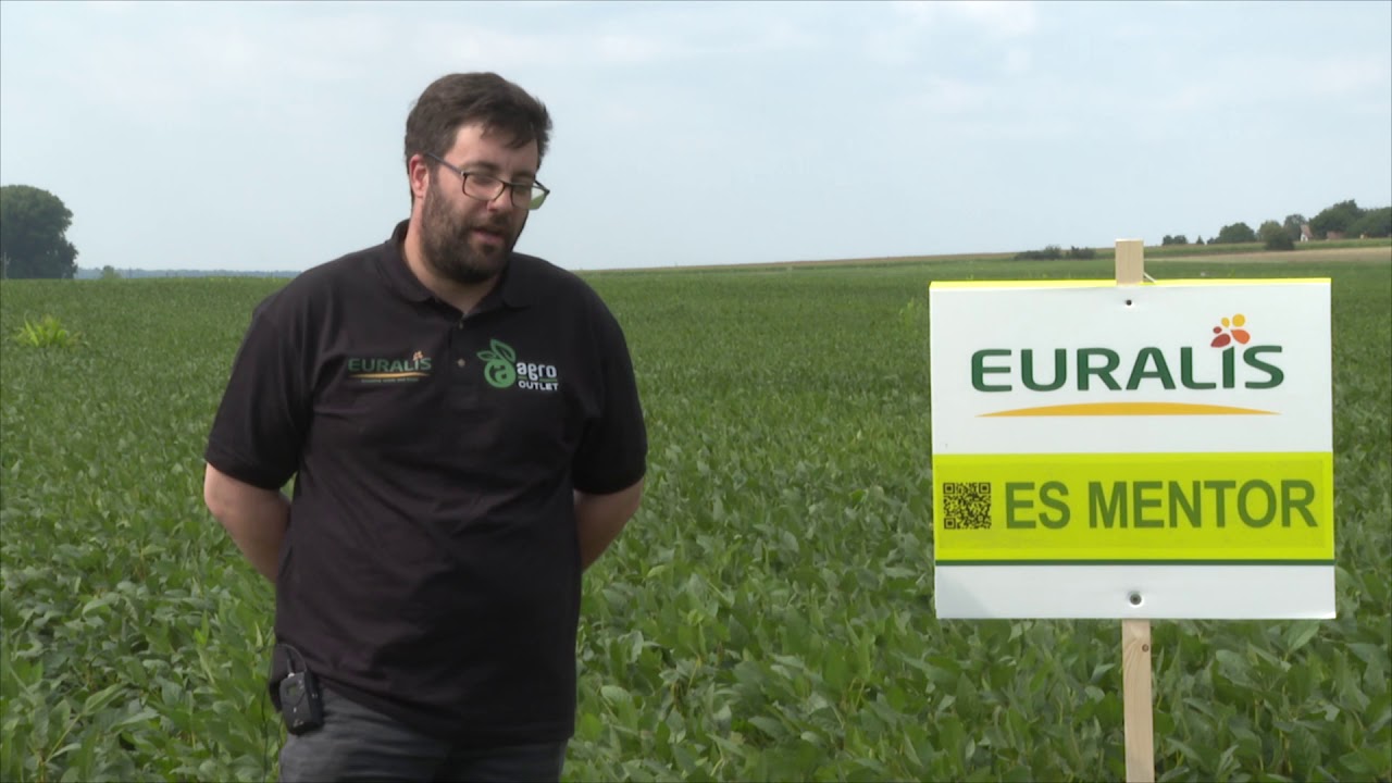 Rizoliq Top S alkalmazása szójában.