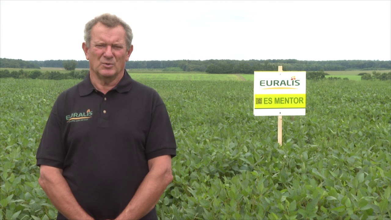 Rizoliq Top S alkalmazása szójában.