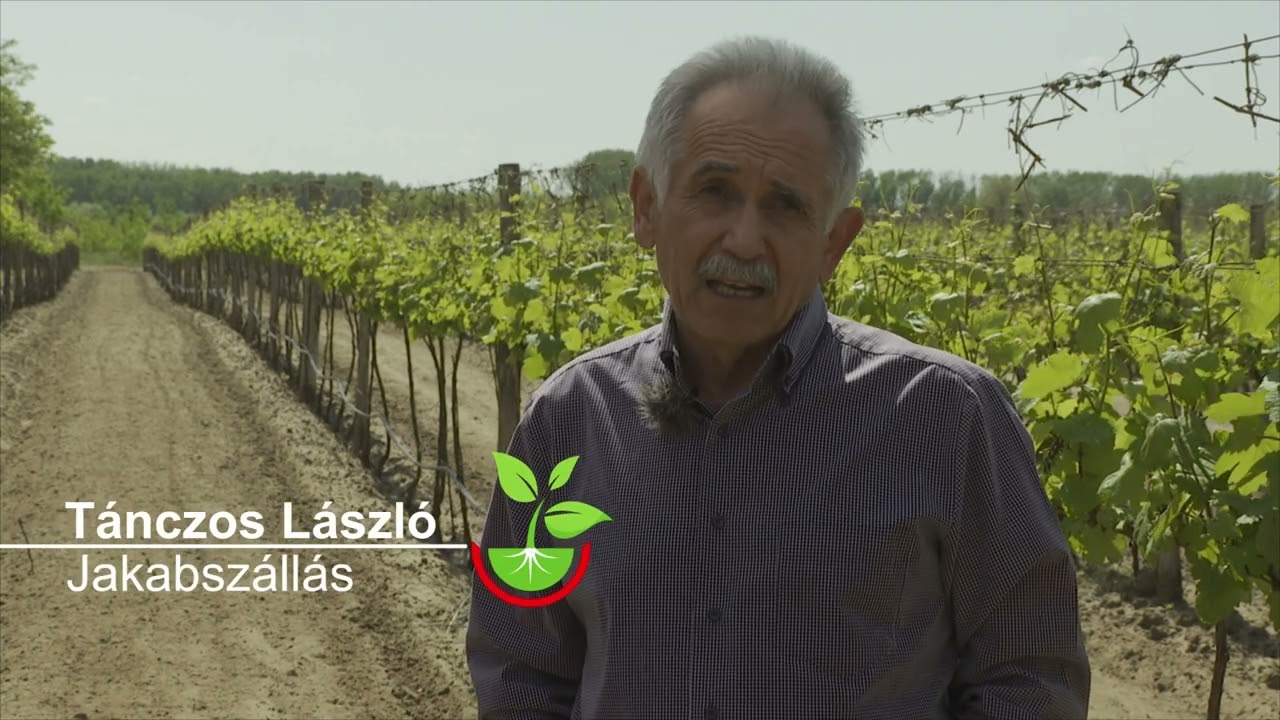 Elixir – kálium-foszfonát hatóanyagú gombaölő megoldás szőlőben.