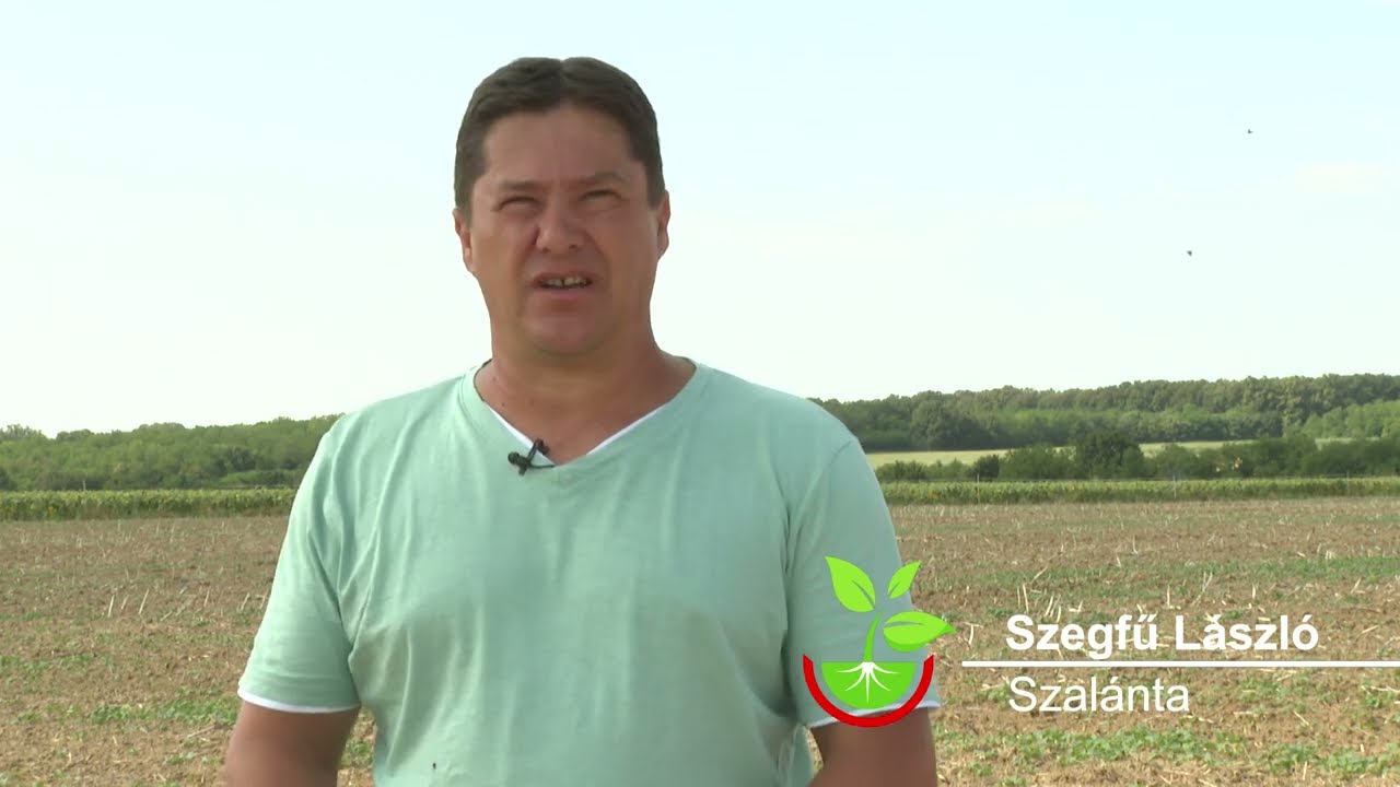 Laminex<sup>®</sup> LP-45 – használati tapasztalatok.