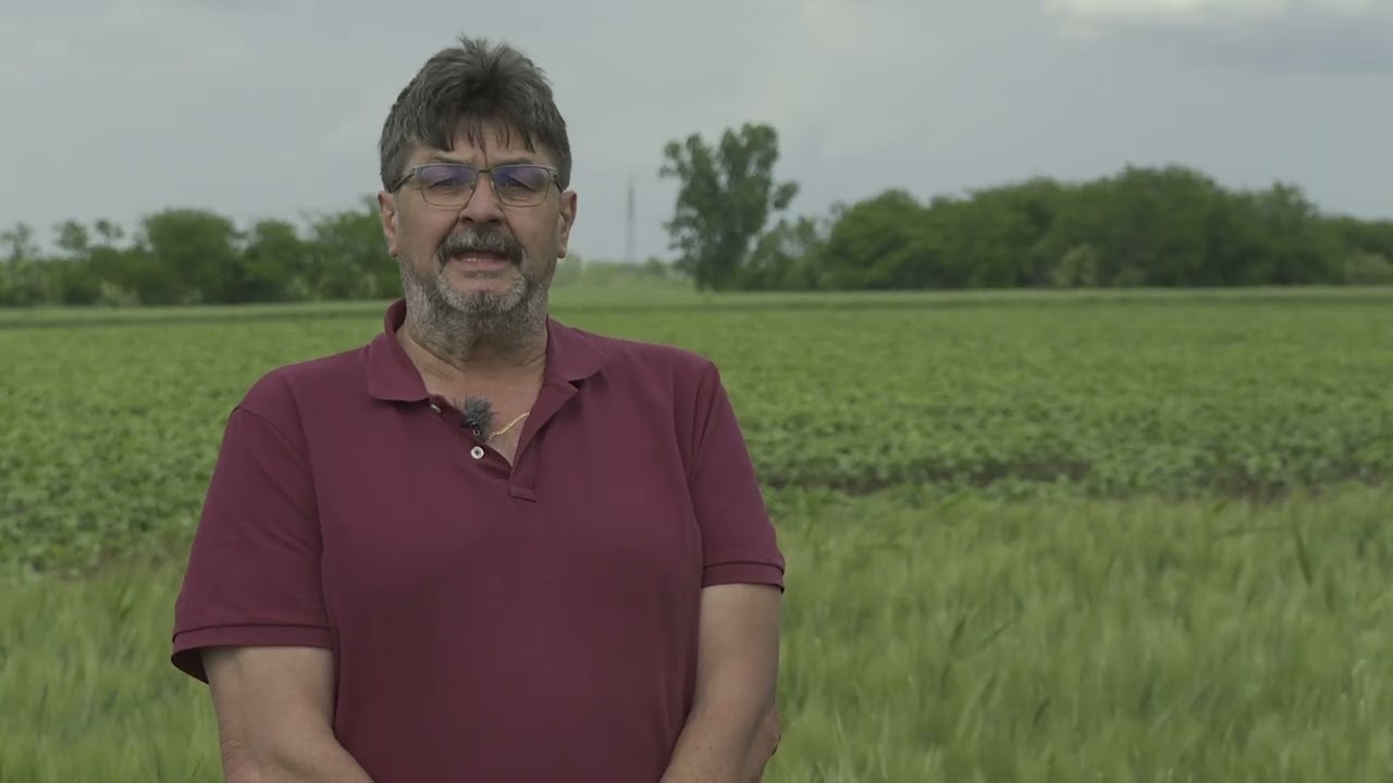 Paci<sup>®</sup> 306 SE alkalmazása Durumbúzában.