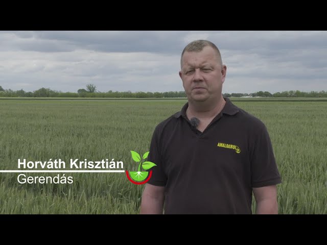 Paci<sup>®</sup> 306 SE alkalmazása őszi búzában.